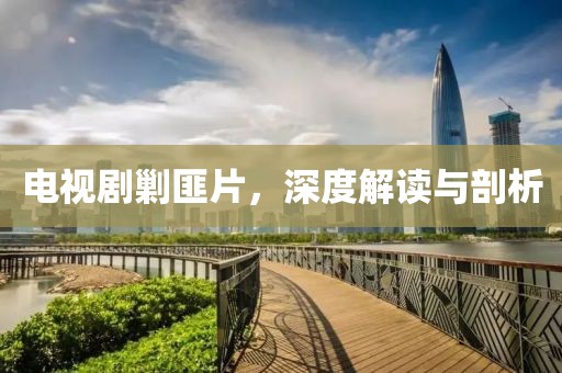 電視劇剿匪片，深度解讀與剖析
