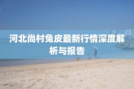 河北尚村兔皮最新行情深度解析與報(bào)告