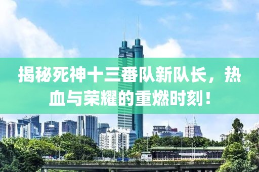 揭秘死神十三番隊(duì)新隊(duì)長(zhǎng)，熱血與榮耀的重燃時(shí)刻！