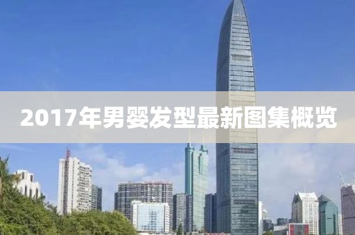 2017年男嬰發(fā)型最新圖集概覽