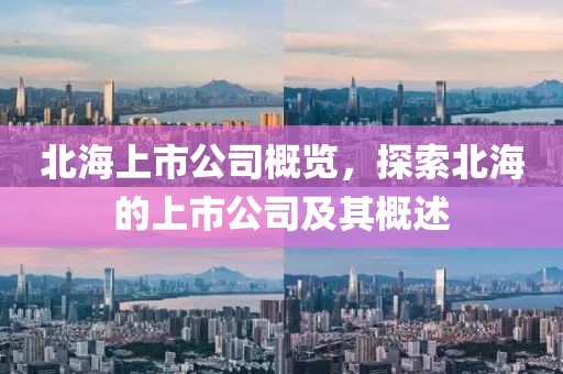 北海上市公司概覽，探索北海的上市公司及其概述