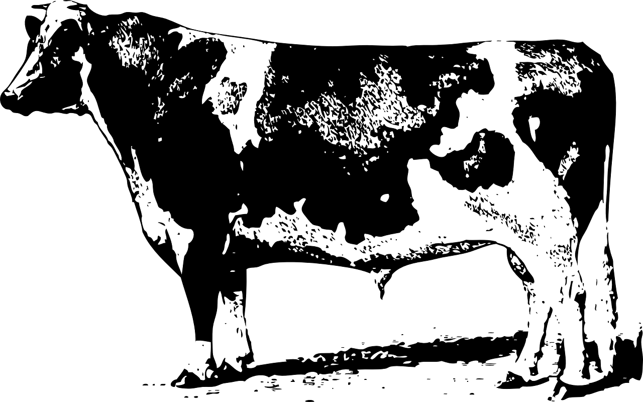 中合三農(nóng)集團引領(lǐng)農(nóng)業(yè)產(chǎn)業(yè)變革，共創(chuàng)鄉(xiāng)村振興新篇章的最新動態(tài),或者中合三農(nóng)集團，鄉(xiāng)村振興的先鋒，最新動態(tài)引領(lǐng)農(nóng)業(yè)創(chuàng)新