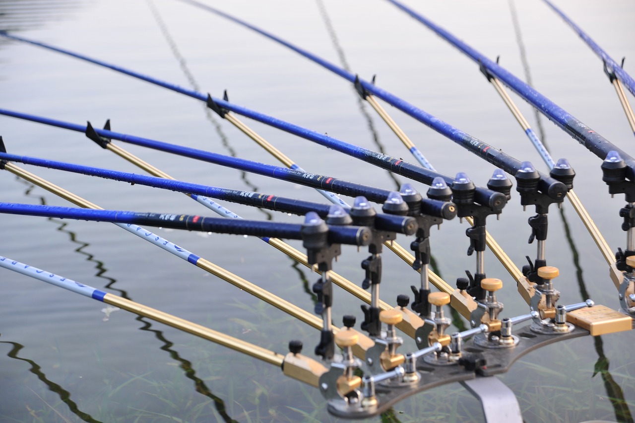 魚桿魚具價(jià)格全面解析，深度了解市場(chǎng)行情與購(gòu)買指南