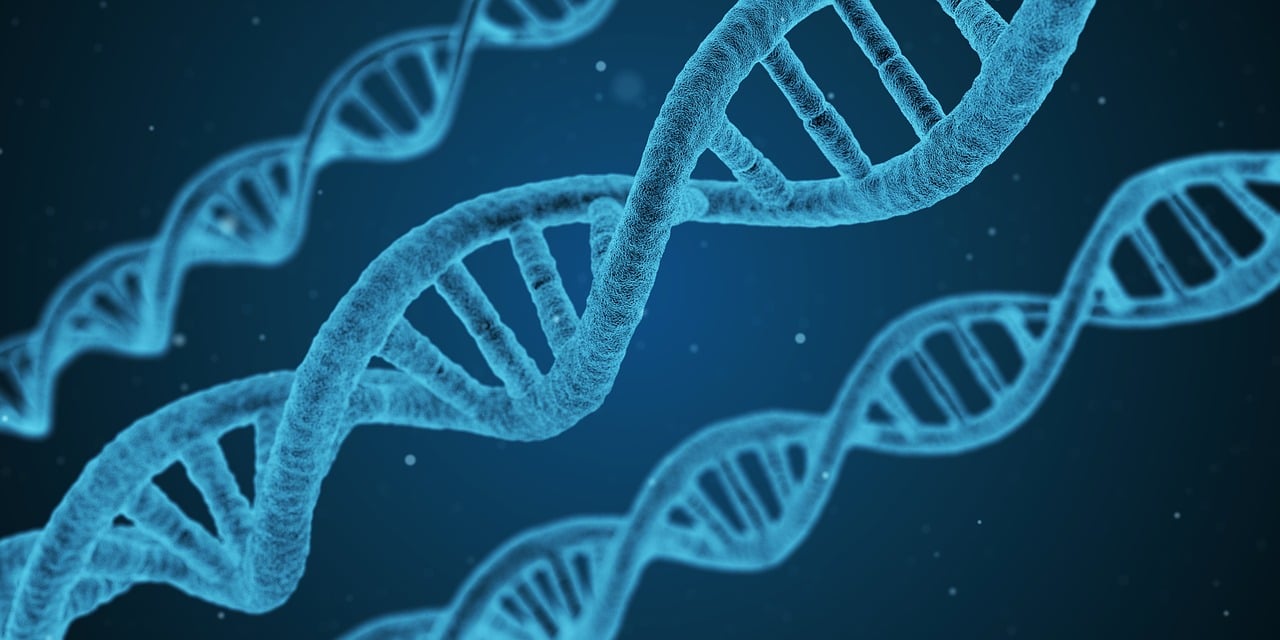 三諾生物引領(lǐng)生物科技，塑造健康未來最新資訊