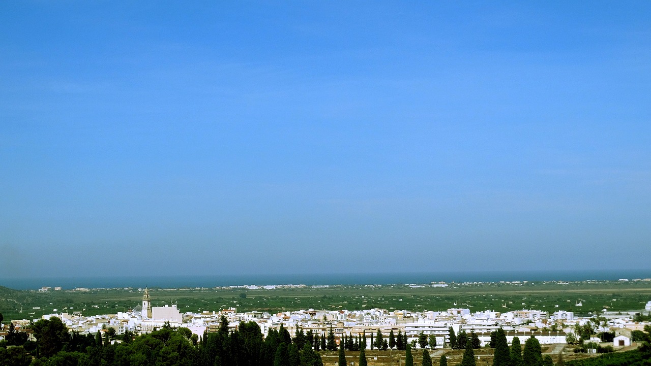 檳榔價(jià)格行情深度分析，市場(chǎng)動(dòng)態(tài)與趨勢(shì)預(yù)測(cè)