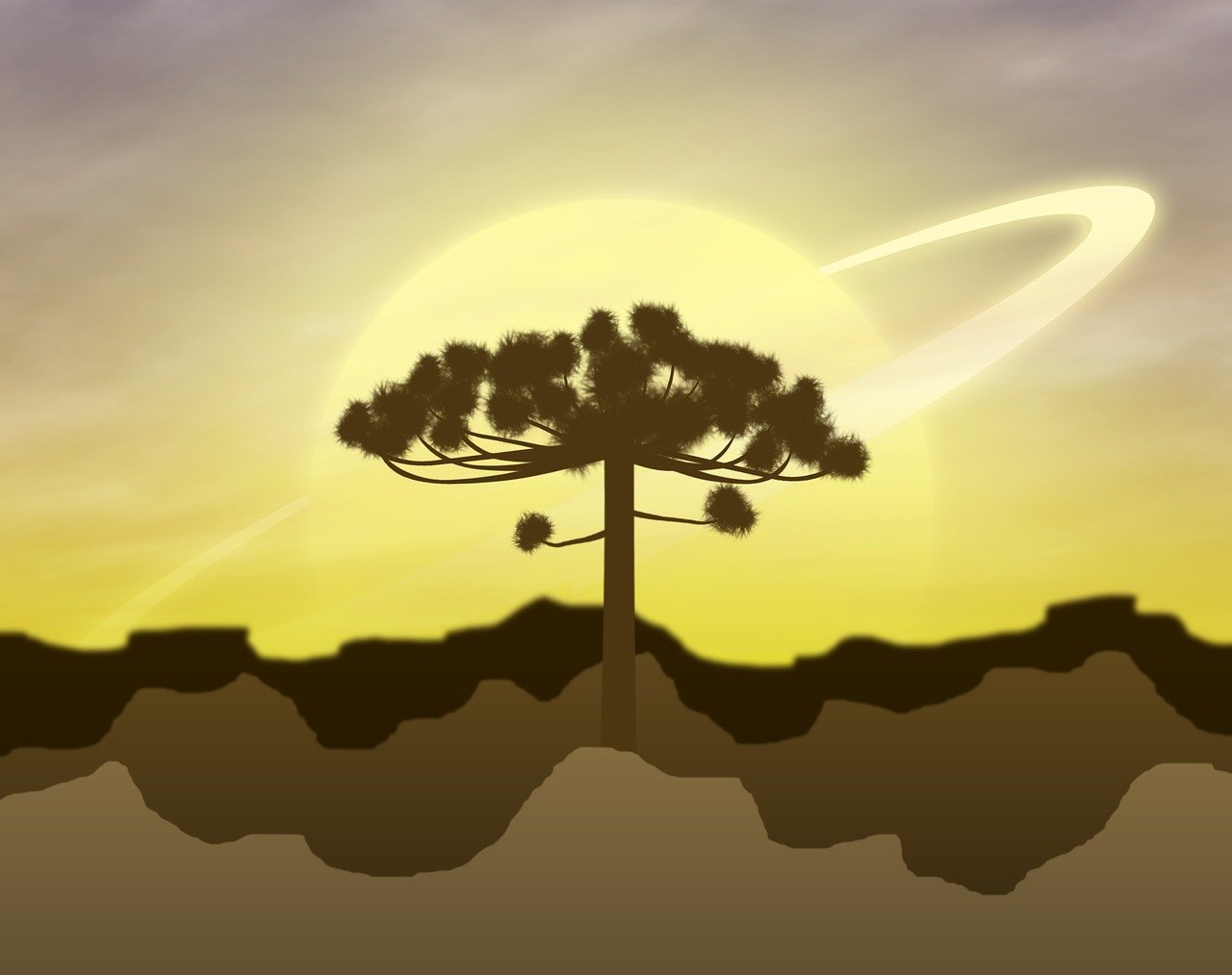 白熊動漫，奇幻之旅，探索魅力世界的無限魅力