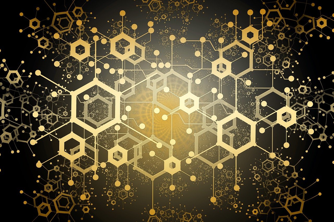 官方指南，如何下載與使用最新2022版TP錢包
