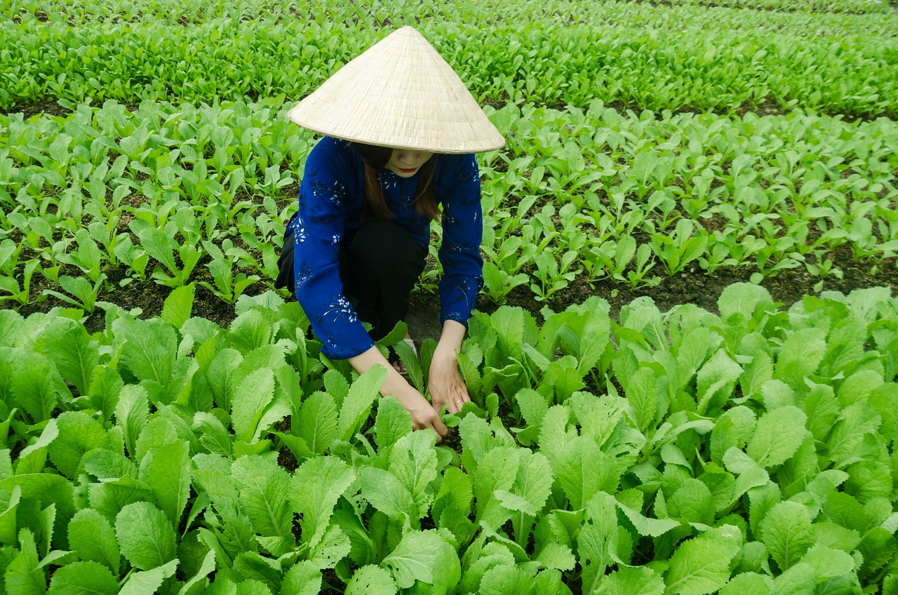 中礦資源最新消息綜述，全面解讀最新動(dòng)態(tài)與發(fā)展趨勢(shì)