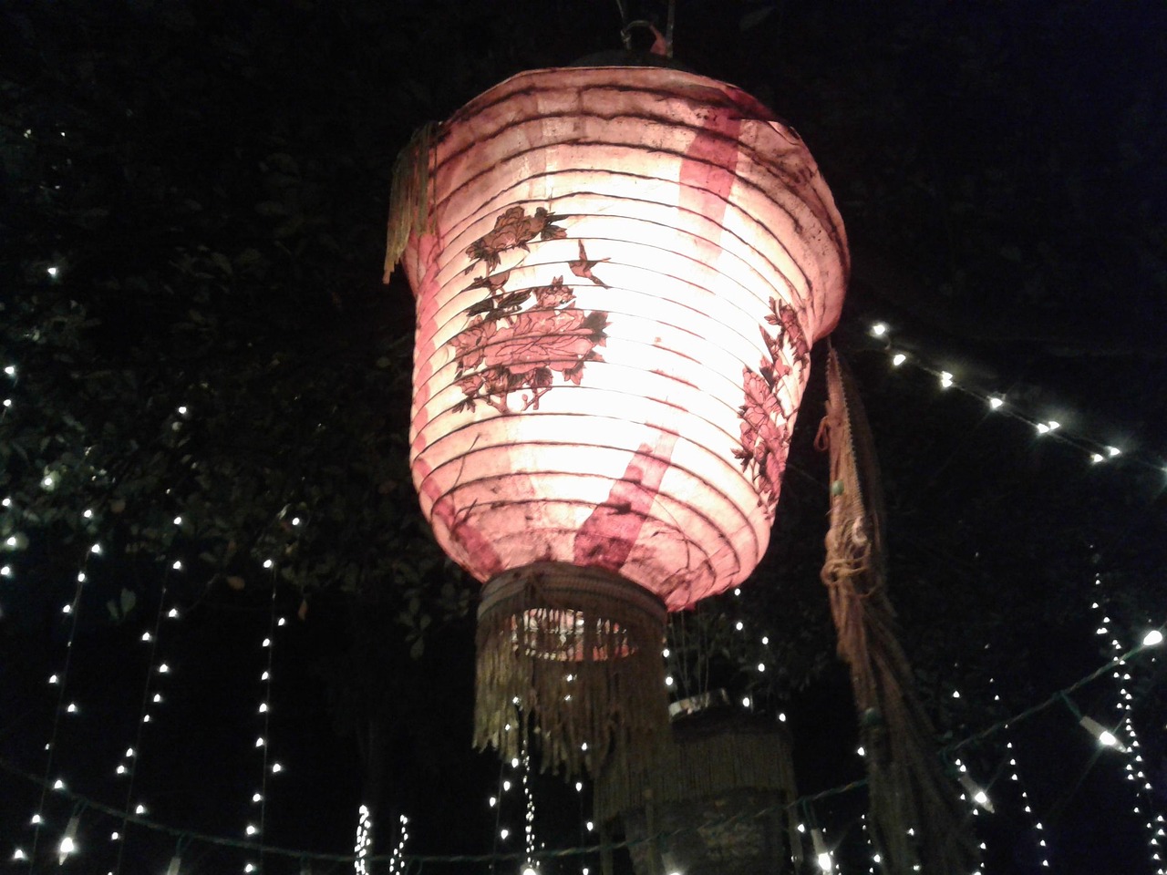電影過年，傳統(tǒng)與現(xiàn)代交織的情感盛宴之夜