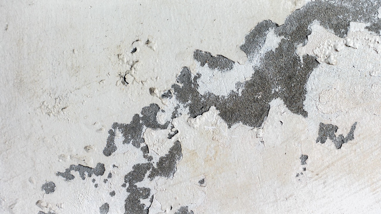 九州安置區(qū)持續(xù)推動(dòng)建設(shè)與發(fā)展，最新動(dòng)態(tài)與進(jìn)展報(bào)告