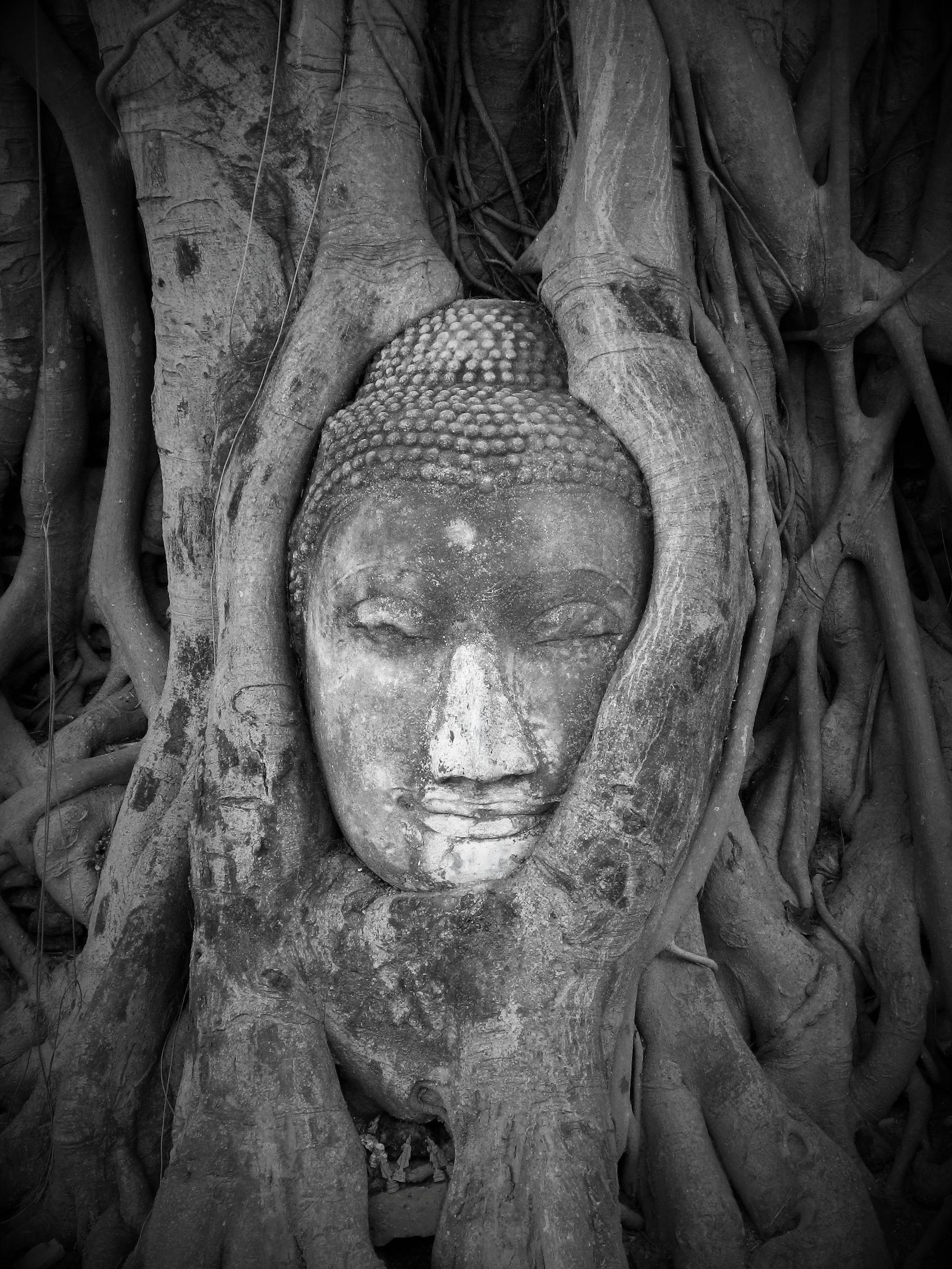 黑白動漫頭像的魅力，藝術(shù)世界的交織之美