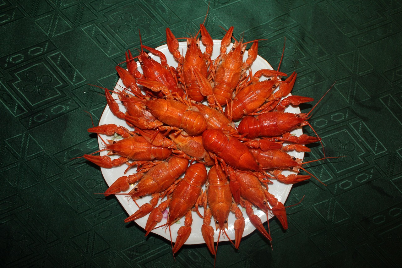 國內(nèi)冷鏈行業(yè)動(dòng)態(tài)深度解析與探析