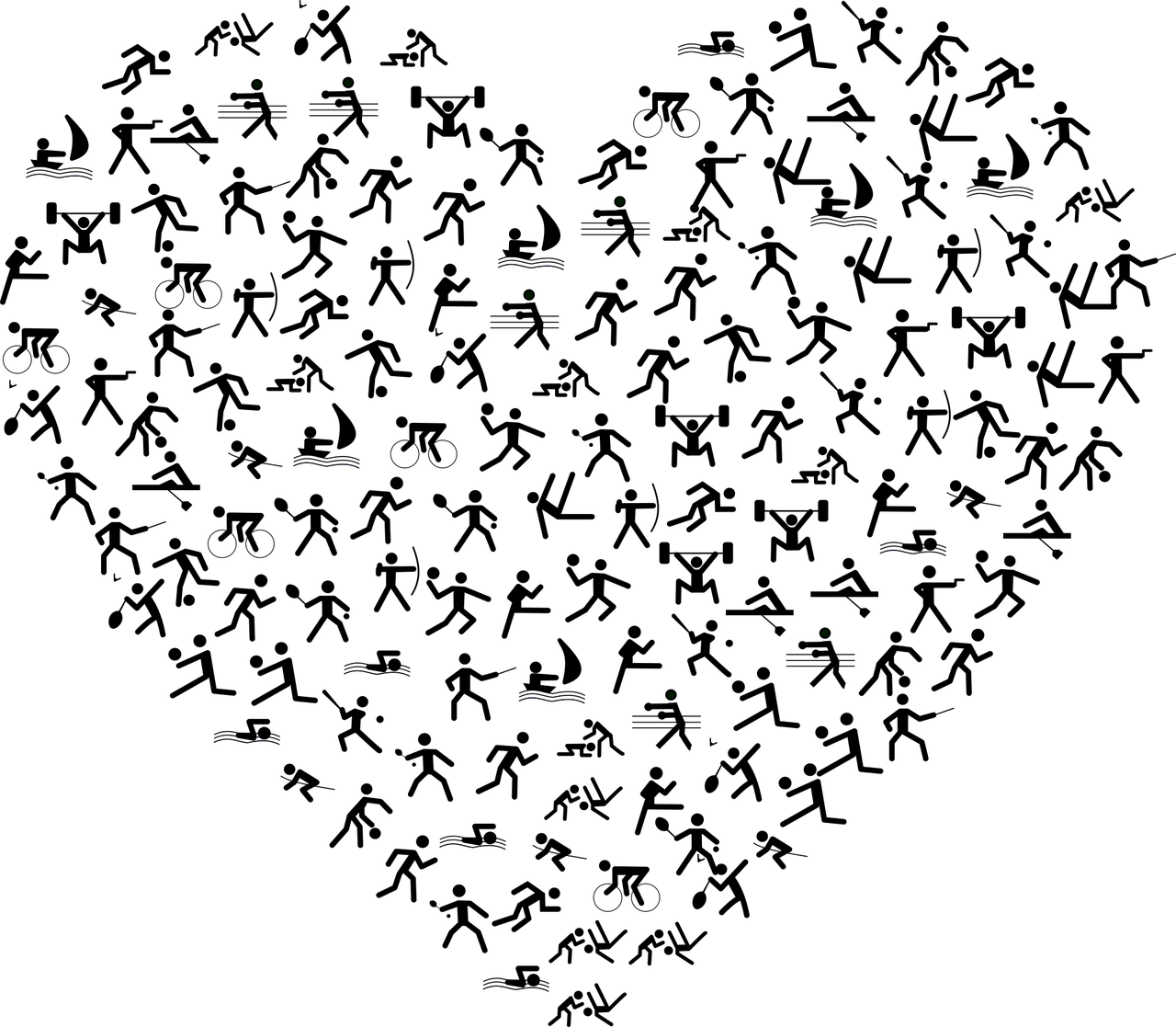 豐臺信鴿賽事動態(tài)，賽場激情與競技精神的探尋